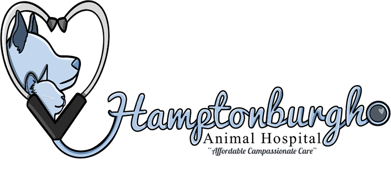 Hamptonburgh Animal Hospital logo
