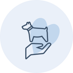In-House Pet Bloodwork icon